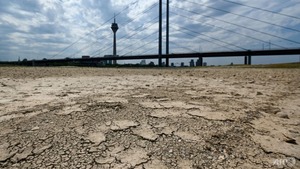 Severe drought in Europe is 'worsening': EU experts