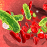 How Can Bloodstream Infections Be Prevented?